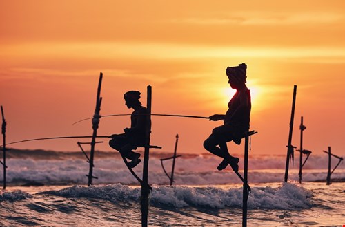 tuktukreissrilanka.nl